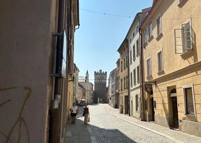 Mia * Jihlava